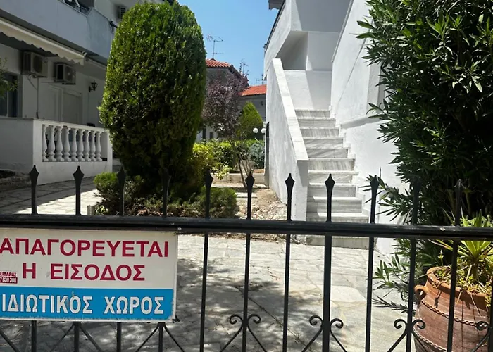 Palm Trees Pefkochori