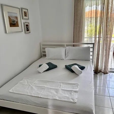 Palm Trees ペフコホリ