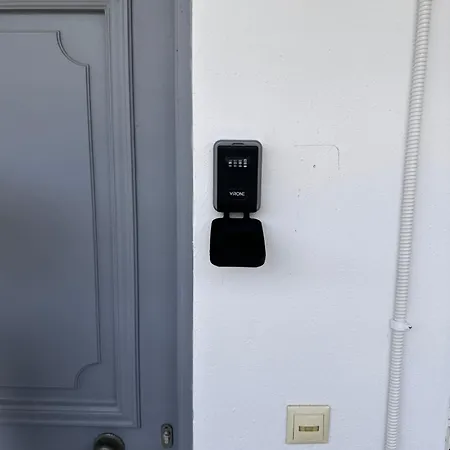 別荘 Palm Trees ペフコホリ