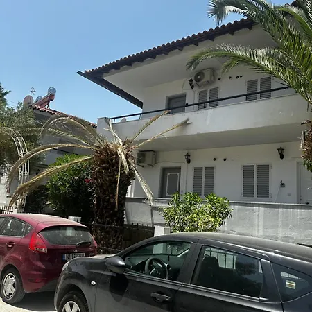Palm Trees