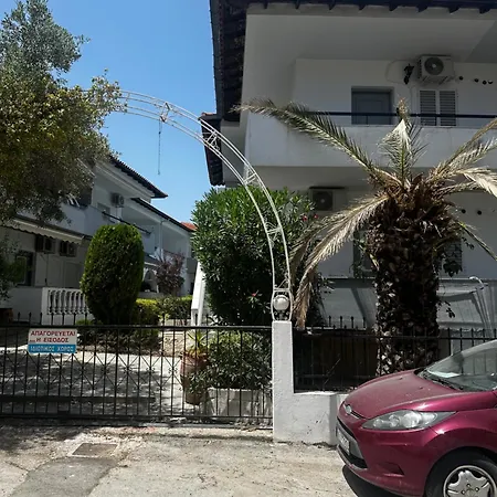 Palm Trees *