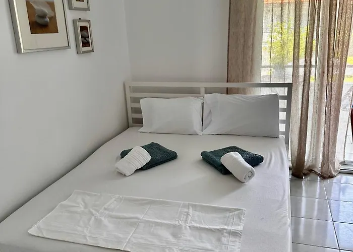 Palm Trees 佩科霍里