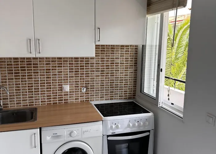 度假居 Palm Trees