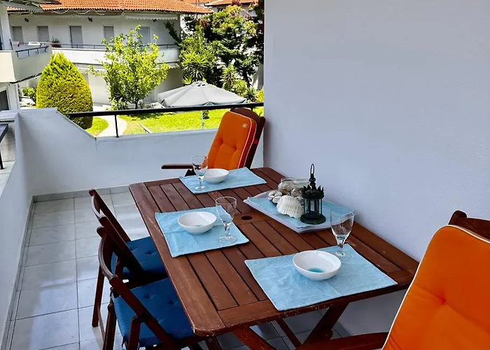 Palm Trees 佩科霍里