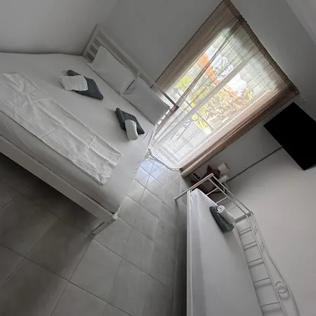 Palm Trees Holiday home *