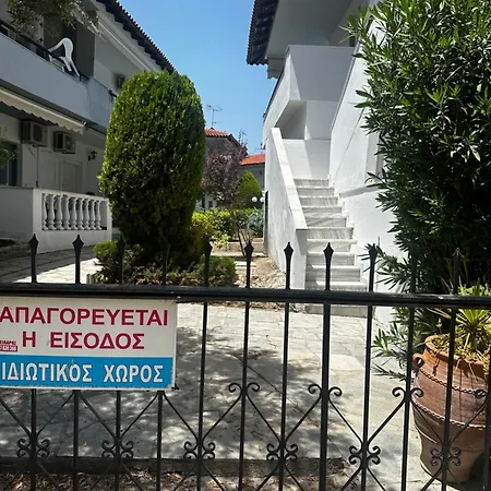 Palm Trees Pefkochori