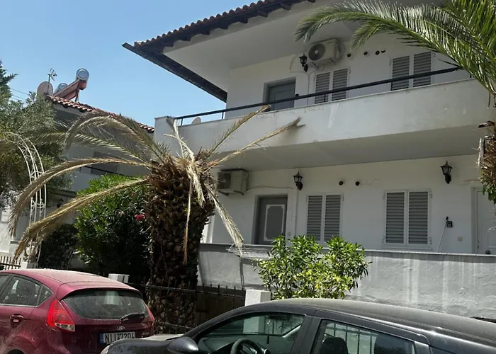 Palm Trees